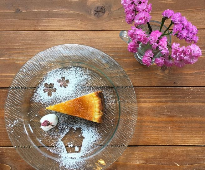 チセミナミナ 桜のチーズケーキ 札幌カフェ