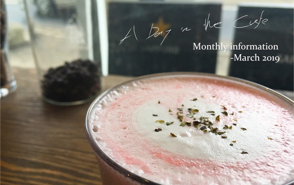 A Day in the Cafe Salvador Coffee