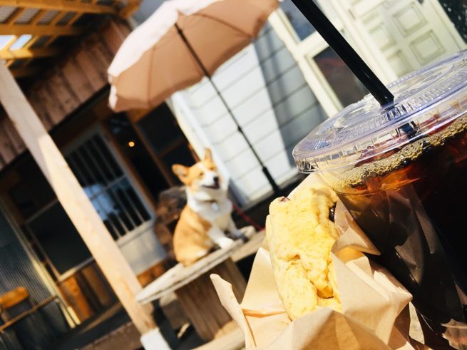 Gotenzan Tea Lab. 札幌カフェ 五天山公園