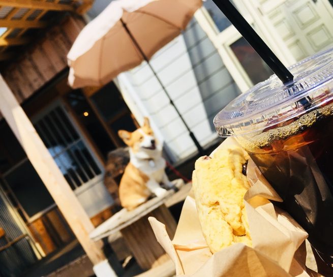 Gotenzan Tea Lab. 札幌カフェ 五天山公園